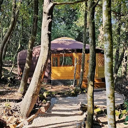 Konukevi Immersa Nel Giardino Emozionale Della Gualda Vecchia, All'aperto Esclusiva A Pagamento 4*