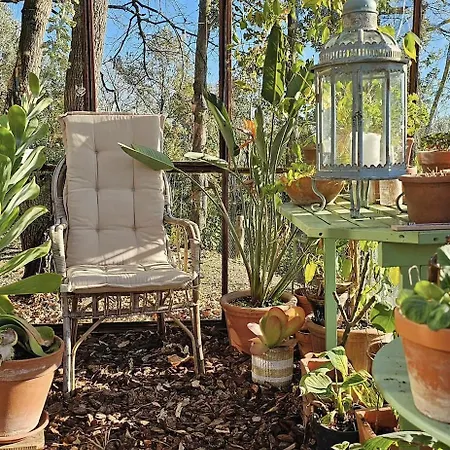 Immersa Nel Giardino Emozionale Della Gualda Vecchia, All'aperto Esclusiva A Pagamento