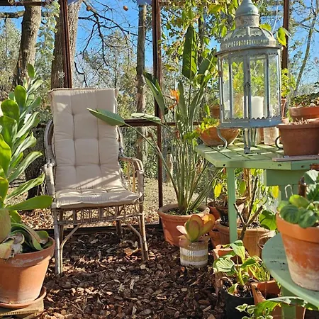 Konukevi Immersa Nel Giardino Emozionale Della Gualda Vecchia, All'aperto Esclusiva A Pagamento Brancorsi