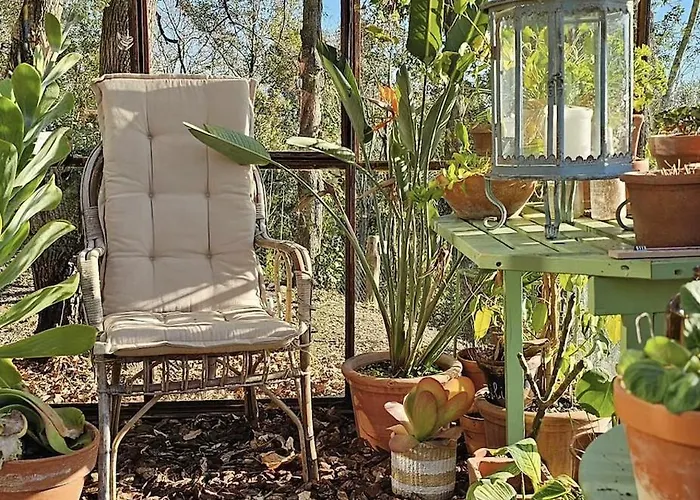 Immersa Nel Giardino Emozionale Della Gualda Vecchia, All'aperto Esclusiva A Pagamento