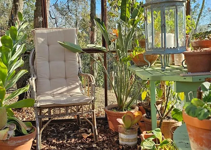 Penzion Immersa Nel Giardino Emozionale Della Gualda Vecchia, All'aperto Esclusiva A Pagamento Brancorsi